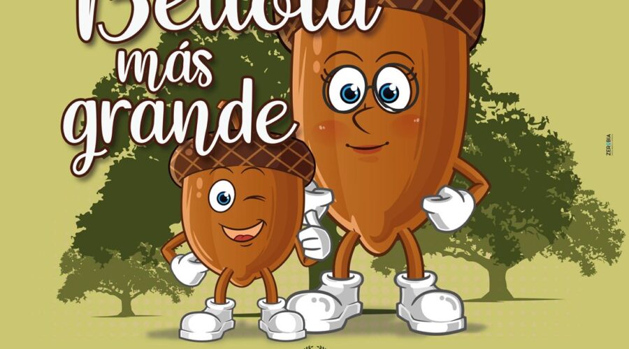 La Bellota Más Grande Gana 2025. En Añora el Sábado 29 de Noviembre.