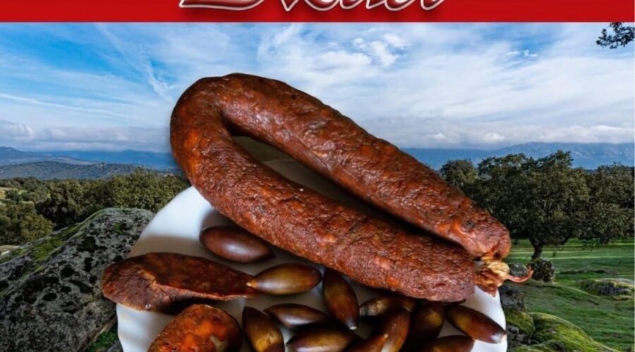 VIII Fiesta de la Morcilla Azueleña